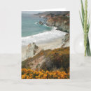 Buscar sur grande tarjetas Playa