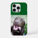 Buscar animal joven iphone fundas Perro