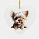 Buscar yorkshire adornos Cachorro