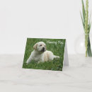 Buscar labrado tarjetas 8 º tarjeta