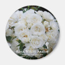 Buscar flechas imanes Blanco