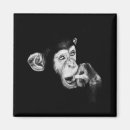 Buscar chimpancé imanes Naturaleza