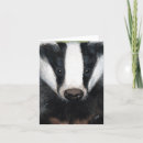Buscar tejón tarjetas Animales
