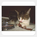 Buscar desde 1980 pegatinas Divertido