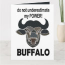 Buscar bisonte tarjetas Vida silvestre