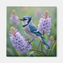 Buscar jay imanes Naturaleza