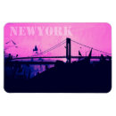 Buscar new york imanes City