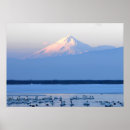 Buscar shasta Montañas
