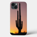 Buscar cactus fundas Fotografía