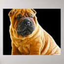 Buscar shar pei arte Cachorro
