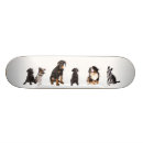 Buscar precioso tablas de skate Lindo