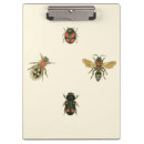 Buscar escarabajo del libretas Insectos