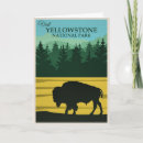 Buscar bisonte tarjetas Wyoming