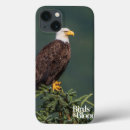 Buscar rapaz electronica Aves rapaces