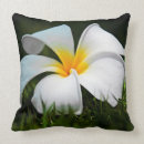 Buscar plumeria cojines Flores