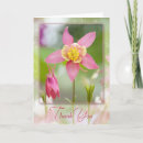 Buscar columbine tarjetas Columbina