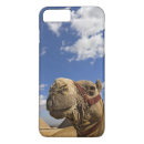Buscar giza iphone fundas Egipto