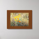 Buscar amapolas lienzos Naranja