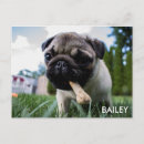 Buscar instagram postales Para ellos