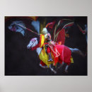 Buscar el jousting posters Knight