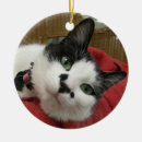 Buscar adopte decoracion Familia