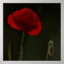 Buscar amor brillante posters Floral