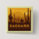 Buscar cactus del saguaro pins Parque nacional de saguaro