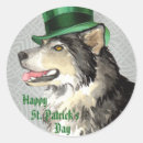 Buscar st patrick pegatinas Trébol