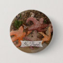 Buscar estrella de la vida chapas Playa