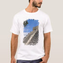 Buscar quintana camisetas Equinoccio