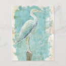 Buscar aves postales Acuarela
