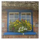 Buscar irlanda azulejos Blanco