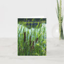 Buscar cattails Paisaje