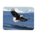 Buscar depredador imanes Vida silvestre