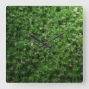 Buscar musgo relojes de pared Bosque
