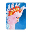 Buscar neon imanes Tropical