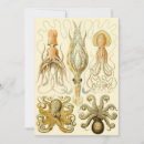 Buscar pulpo invitaciones Calamar