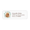 Buscar cock postales Perro