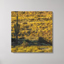 Buscar sonoran Naturaleza