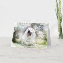 Buscar estaciones tarjetas Perros