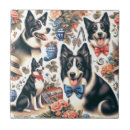 Buscar perro del collie azulejos Adorable