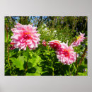 Buscar otto posters Naturaleza