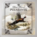 Buscar faisán posters Faisanes