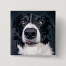 Buscar perro chapas General y unisex