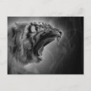Buscar tigre blanco y negro postales Gran gato