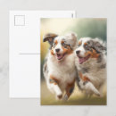 Buscar perro nacional postales General y unisex