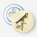 Buscar pájaro abrebotellas Rama