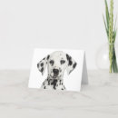 Buscar dalmata tarjetas Perro