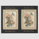 Buscar jaulas papel de seda Para todos