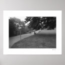 Buscar alimentación posters Pájaros